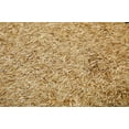 thumbnail image 2 of Kentucky 31 K31 Tall Fescue Grass Seed by Eretz - CHOOSE SIZE! State Certified, No fillers, No Weed or Other Crop Seeds 10lbs, 2 of 6