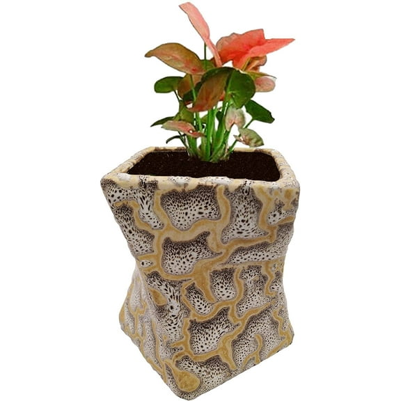 India Meets India Ceramic Flower Pot Planter Pot Indoor Outdoor Planter Handicraft by Awarded Indian Artisan (Cream)