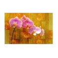 thumbnail image 2 of Robertson, Walter  32x24 White Modern Wood Framed Museum Art Print Titled - Sheer Pink Orhcid, 2 of 4