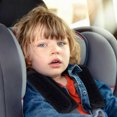 thumbnail image 4 of Baby Child Seat Belt Shoulder Pads Harness Strap Covers For Toddlers Travel Comfort, 4 of 6