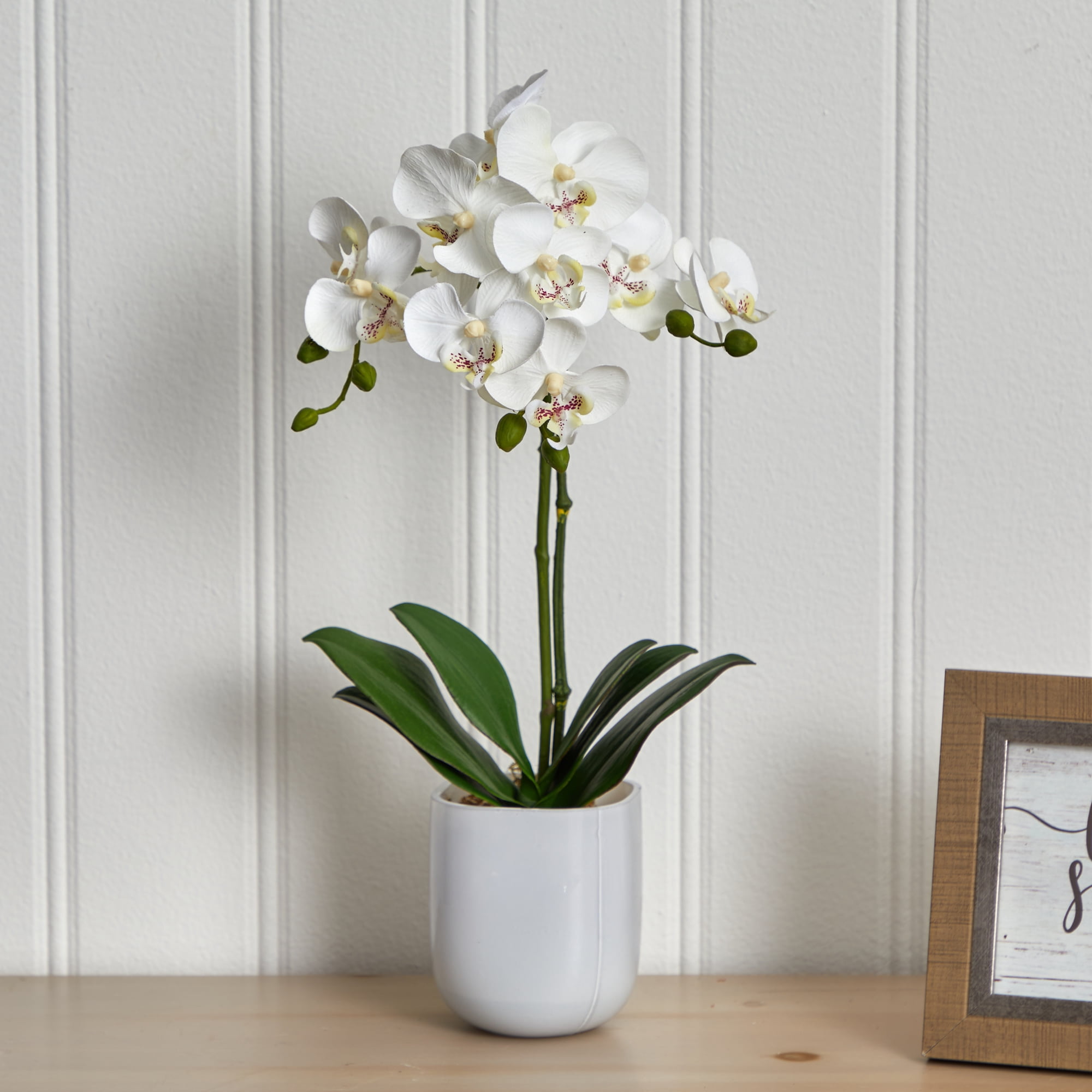 Nearly Natural Phalaenopsis in Frosted Glass