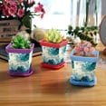 thumbnail image 6 of HemaKayy Decorative Planter Pot Set - Perfect for Small Plants - Colorful Design With Drainage Hole - Ideal for Home and Garden Decor - Set of 8 - Unique Marble Texture, 6 of 6