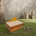 thumbnail image 6 of Wax-Coated Cedarwood Medium Super Beehive Box for Langstroth 10-Frame Hives – Durable Weatherproof Kit with Frames & Wax Foundations – Easy Assembly for Beekeeping, Ideal for Honey Production, 6 of 8