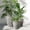 SH001-Grey, variant on 3-Piece Large Concrete Planter Set for Indoor & Outdoor Use - Round Garden Pots (18, 13, 9 Inch Dia) with Drainage Hole & Plug (SH002)