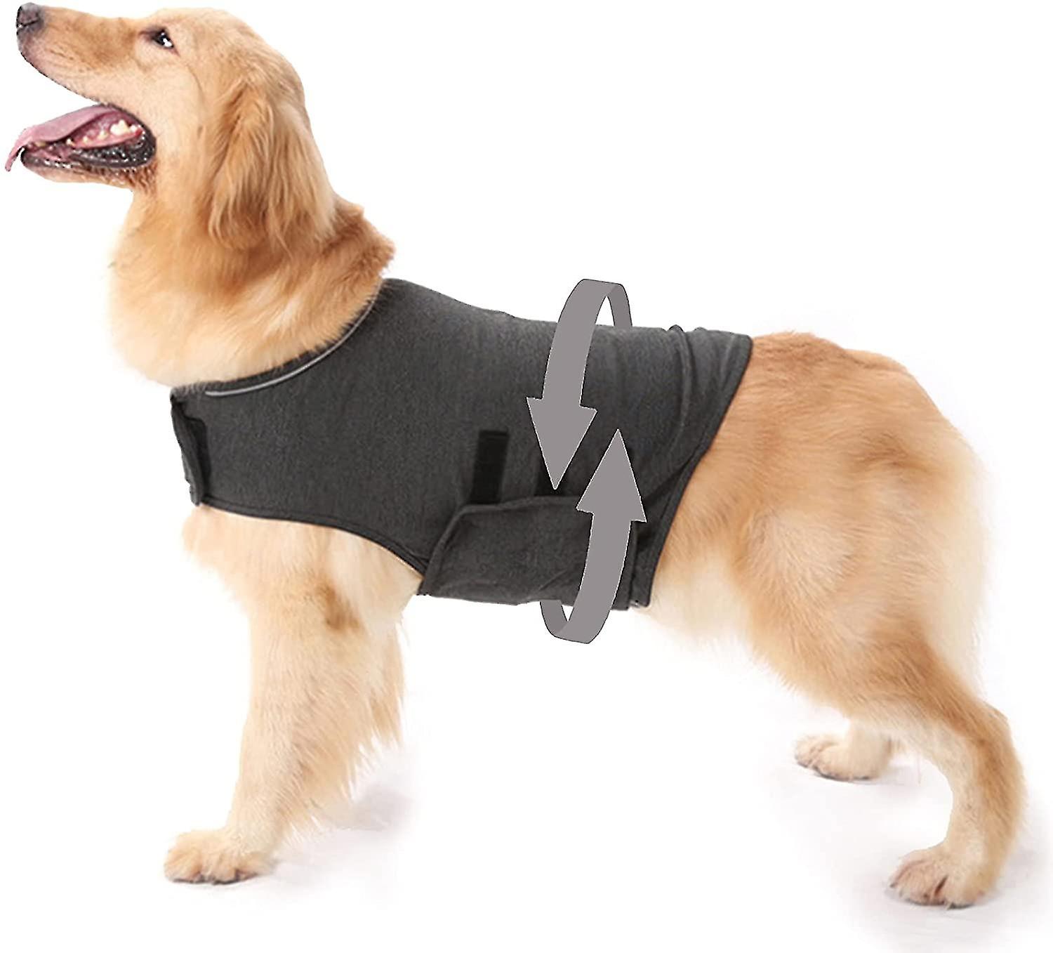 anti anxiety vest for dogs