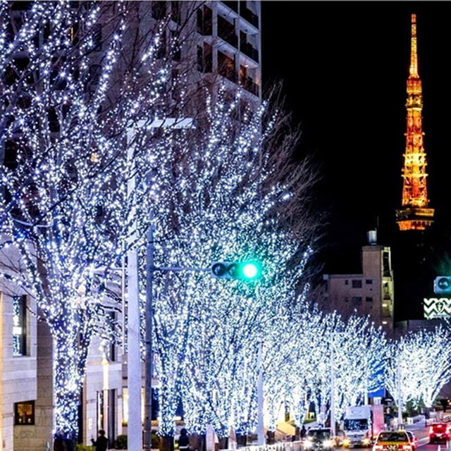 Fairy Lights,300 LED Curtain Lights USB String Lights LED Curtain Lights Elevate Your Experience