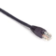 thumbnail image 1 of GigaBase 350 CAT5e Patch Cable - Snagless Boots, Purple - 3 ft., 1 of 1