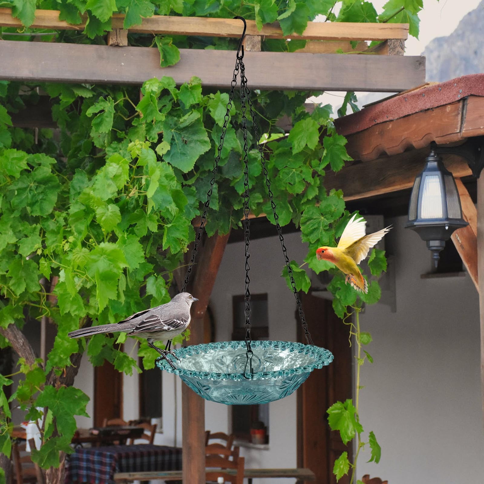 JilgTeok 4 Packs Bird Feeder Bird Water Bowl Bird Baths for Feeding Balcony Garden Yard Decor Outdoor Hanging Feeder