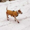 thumbnail image 4 of Dog Boots For Dogs Non-slip, Waterproof Dog Booties, 4 of 4