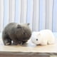 thumbnail image 4 of Peluche de algodón práctico Wombat de peluche, accesorio para fotografías, bonito aspecto para sala de estar, 25 cm, color blanco, 4 of 4