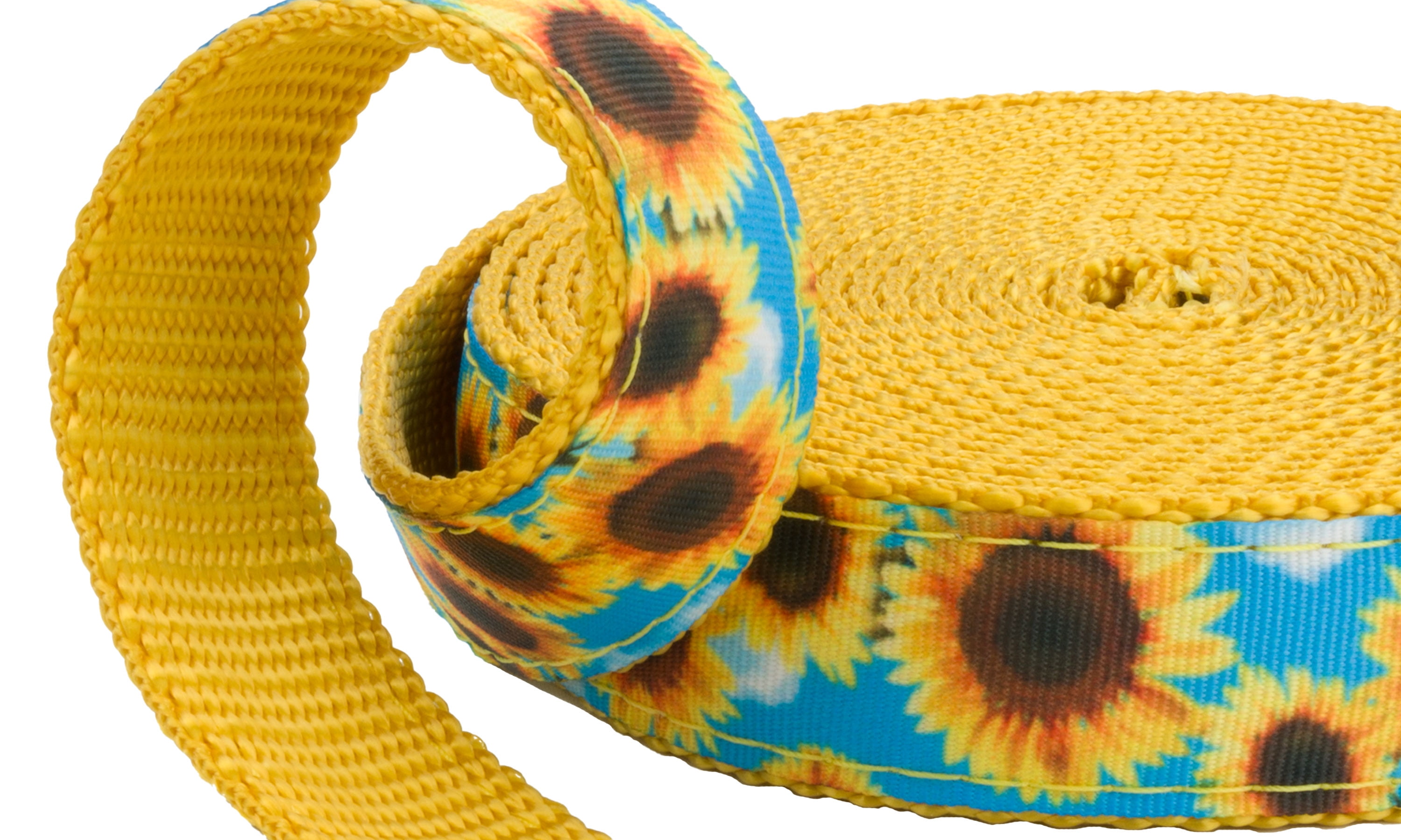 Country Brook Design - Sunflowers Ribbon on Gold Nylon Webbing (1 Inch, 10 Yards)
