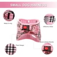 thumbnail image 3 of Reflective Dog Harness and Leash Set Soft Mesh Pet Puppy Cat Comfort Padded Vest No Pull Harnesses, 3 of 8