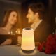 thumbnail image 4 of Touching Control Bedside Table Lamp USB Rechargeable 3 Level Dimmable Warm White & RGB Color Changing Night Light for Bedroom Living Room Office, 4 of 5