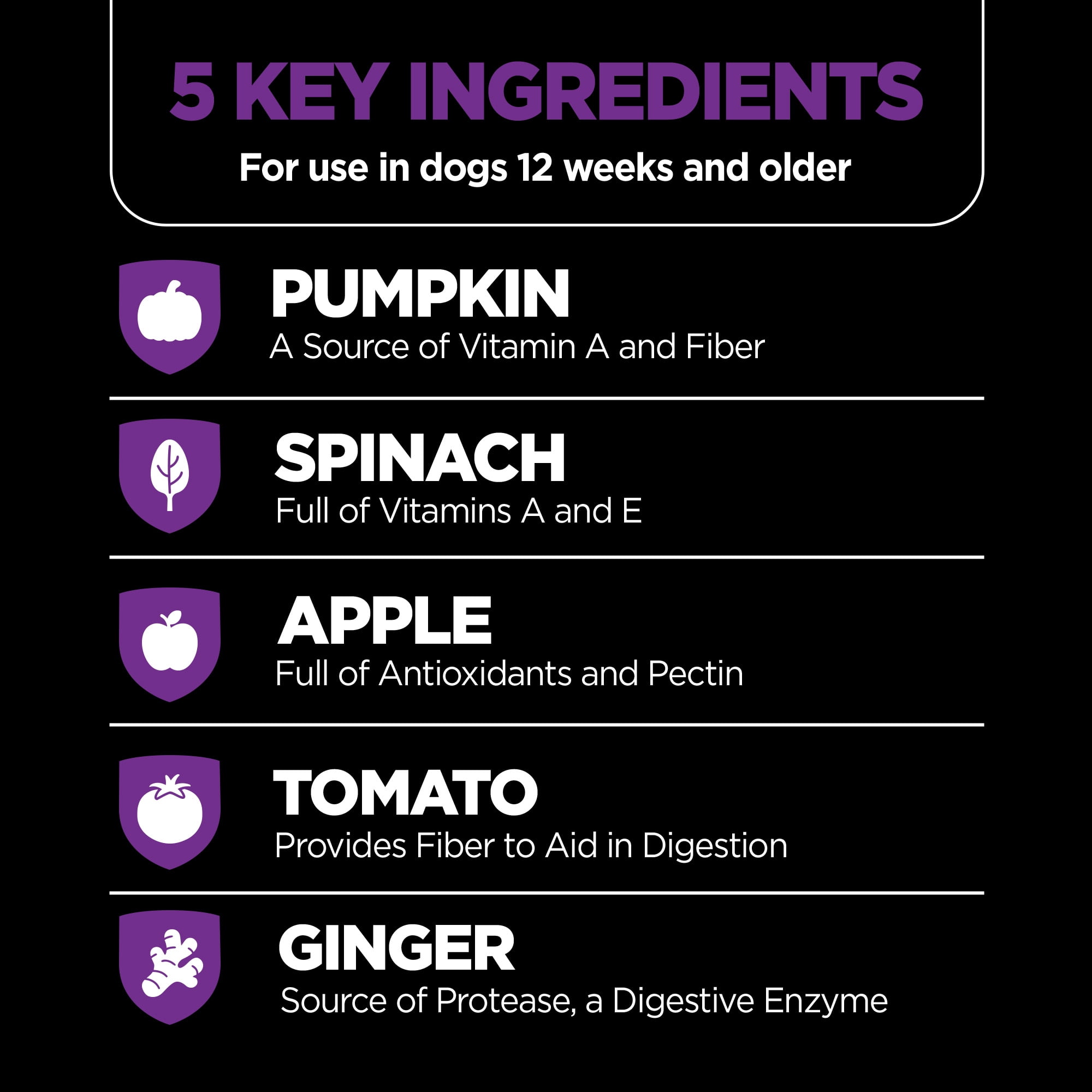 Nutri-Vet Fresh Pumpkin Digestive Aid Supplement-15oz