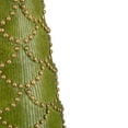 thumbnail image 5 of Northlight Christmas Tree Cone on Pedestal with Star Topper Decoration - 23" - Green, 5 of 5