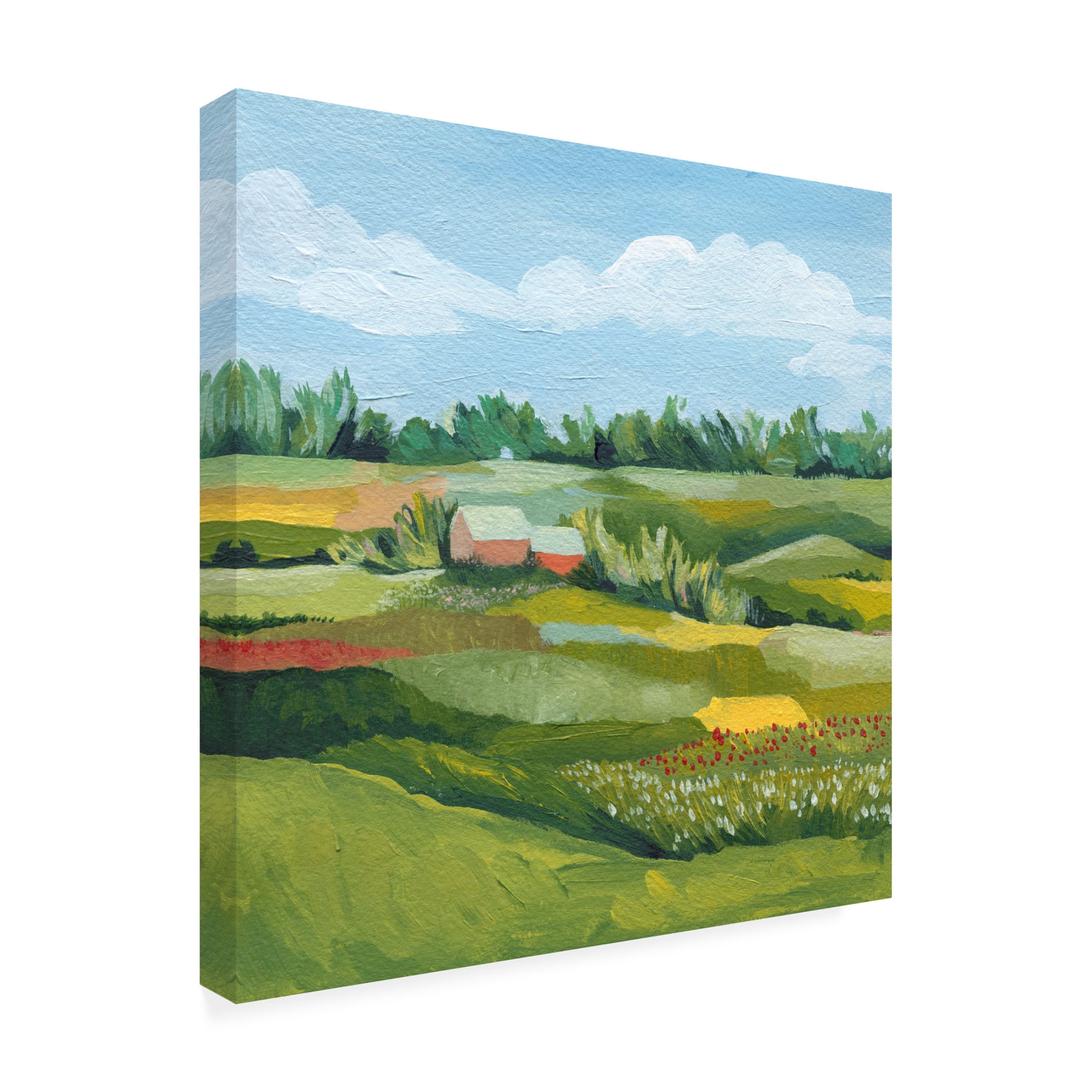Canvas Wall Art - Grace Popp 'Idyllic Valley I' Wall Art for Living Room, Bedroom, or Office Décor by Trademark Fine Art - 35 x 35 Inches