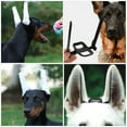 ITSELFER 1 Set Dog Ear Stand Up Support Dog Ear Stand Up Tool Puppy Ear