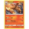 Pokemon Detective Pikachu Charizard #5