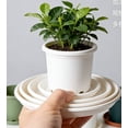 thumbnail image 2 of Rirozkan Plastic Plants Saucer, Deep Flower Pot Tray, Heavy Duty Drip Tray, Round Water Catcher, Pot Plants Drainage Tray, for Indoor or Outdoor Potted Plants, 2 of 5