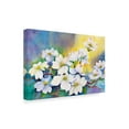 thumbnail image 2 of Trademark Fine Art 'Branch Of Dogwood' Canvas Art by Joanne Porter, 2 of 3