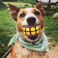 thumbnail image 4 of Dog Balls Toys Dawg Grillz Squeaky Fetch para perros grandes, 4 of 6