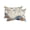 Beige Blue Beige, variant on Pack of 2 Outdoor Lumbar Pillow Covers 12x20 Inch, Thanksgiving Fall Waterproof Throw Pillow Covers Set, Blue White Orange Pumpkin Leaves Indoor&Outdoor Decorative Cushion Cases for Patio Porch Car