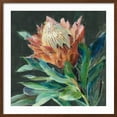 thumbnail image 2 of Art.com Deep Protea Crop Art Print by Danhui Nai, Brown Frame Wall Art, 29" x 29", 2 of 5