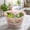 Pink, variant on Vegetable Spinner 8.5 Inch, Manual Salad Dryer with Press Button, Fruit & Veggie Dehydrator with Strainer Basket, Kitchen Colander, Pink
