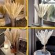 thumbnail image 5 of Paquete de 30 floreros secos artificiales de hierba de pampa de 60 cm, pampas gr, 5 of 5