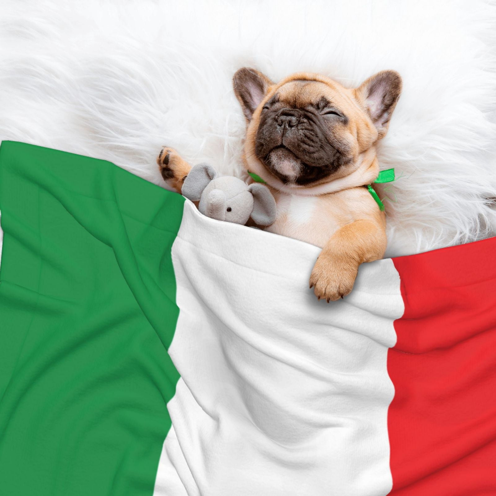 Flannel Throw Dog Blanket Italian Flag Soft Warm Print Pet Blankets for Small Dog Cat Puppy