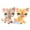 #468 #886, variant on Minilpsshop 2 PCS Little Pets Toys Dachshund #932 Shorthair Cat #1116 with Accessories,Ideal Gifts for Boys and Girls