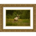 thumbnail image 1 of Gavra, Assaf 24x17 Gold Ornate Wood Framed with Double Matting Museum Art Print Titled - Caribou in grass land, 1 of 4