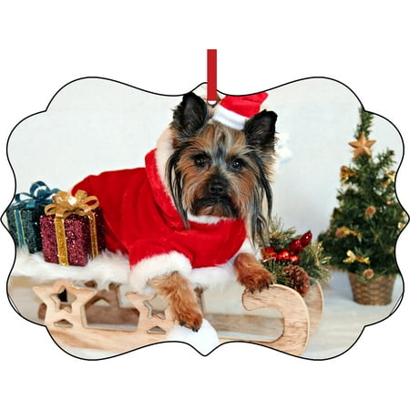 Sled Decoration (Ornaments Yorkie Yorkshire Terrier Puppy Dog in Santa Claus Garb on a Sled Elegant Aluminum Semigloss Christmas Ornament Tree Decoration - Unique Modern Novelty Tree Décor)