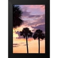thumbnail image 2 of Hausenflock, Alan 11x14 Black Modern Framed Museum Art Print Titled - San Marcos Sunset V, 2 of 5