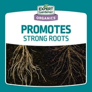 Expert Gardener Bone Meal Plant Food Fertilizer, 3-15-0, 4 lb