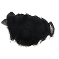 thumbnail image 1 of Plumas de bricolaje Macarena 200 piezas Negro, 1 of 8