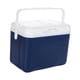 thumbnail image 2 of Nevera portátil hermética de 6 l para alimentos congelados y calientes, ideal para picnics, playa y exteriores. Azul oscuro, 2 of 9