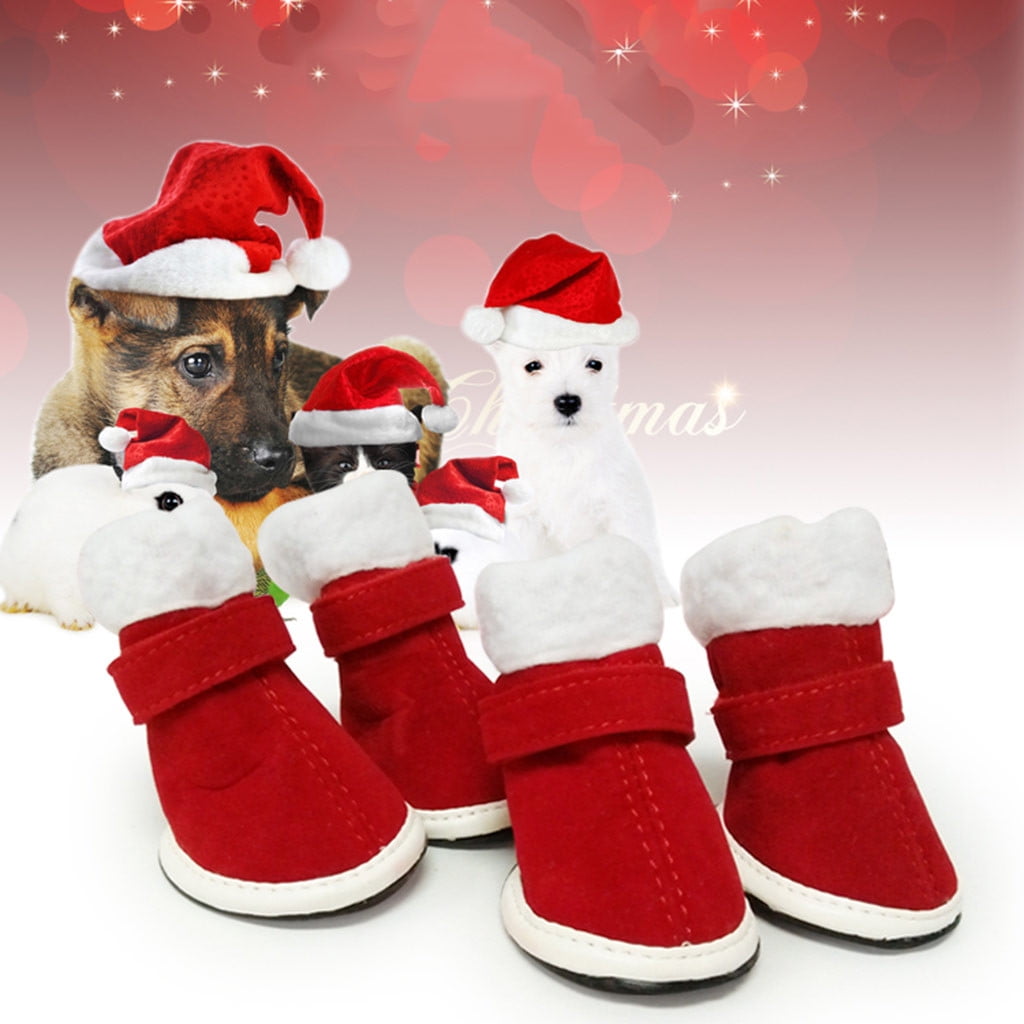 cat and dog shoes