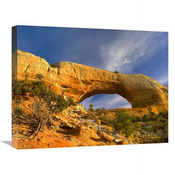 Global Gallery  20 x 24 in. Wilson Arch with A Span of 91 ft. & Height of 46 ft. - Made of Entrada Sandstone - Utah Art Print - Tim Fitzharris