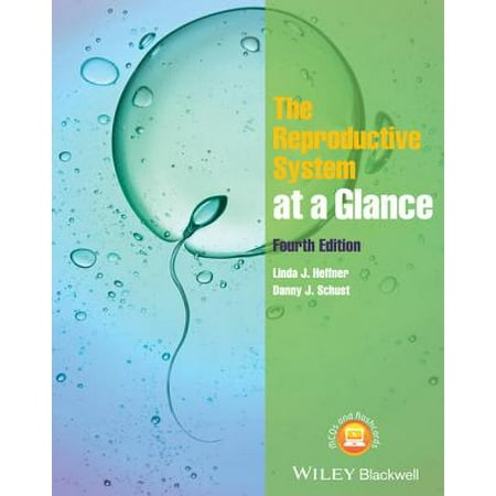 ebook