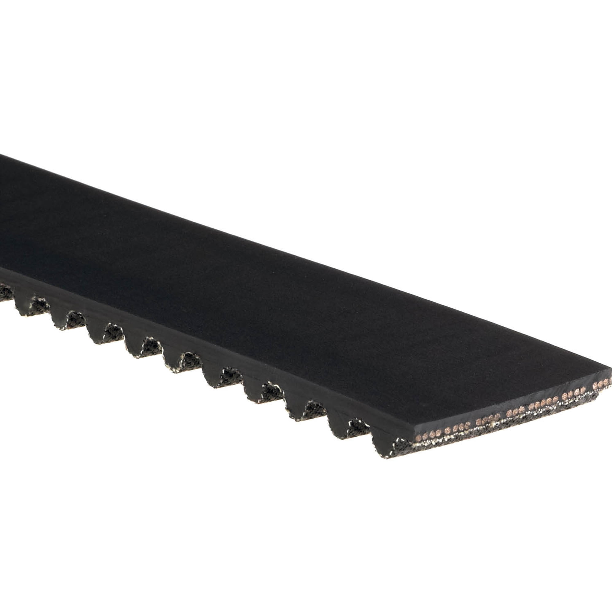 Engine Timing Belt