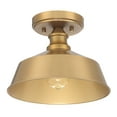 thumbnail image 3 of Trade Winds Grady 1-Light Ceiling Light in Natural Brass, 3 of 4
