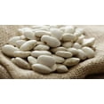 thumbnail image 1 of Baby Lima Beans, 1 of 1