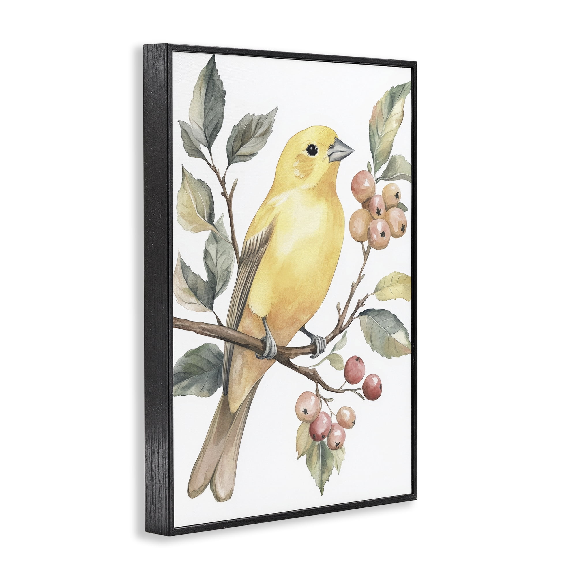 Stupell Industries Sun Lit Bird on Branch Black Framed Giclee Art, design by Petal Prints Design
