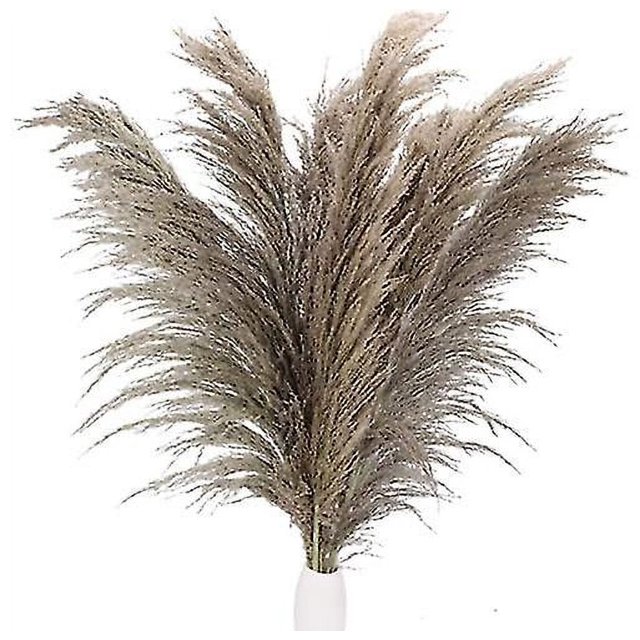 20 piezas hierba de Pampas, Bohemia Artificial seca Natural, ramo de boda