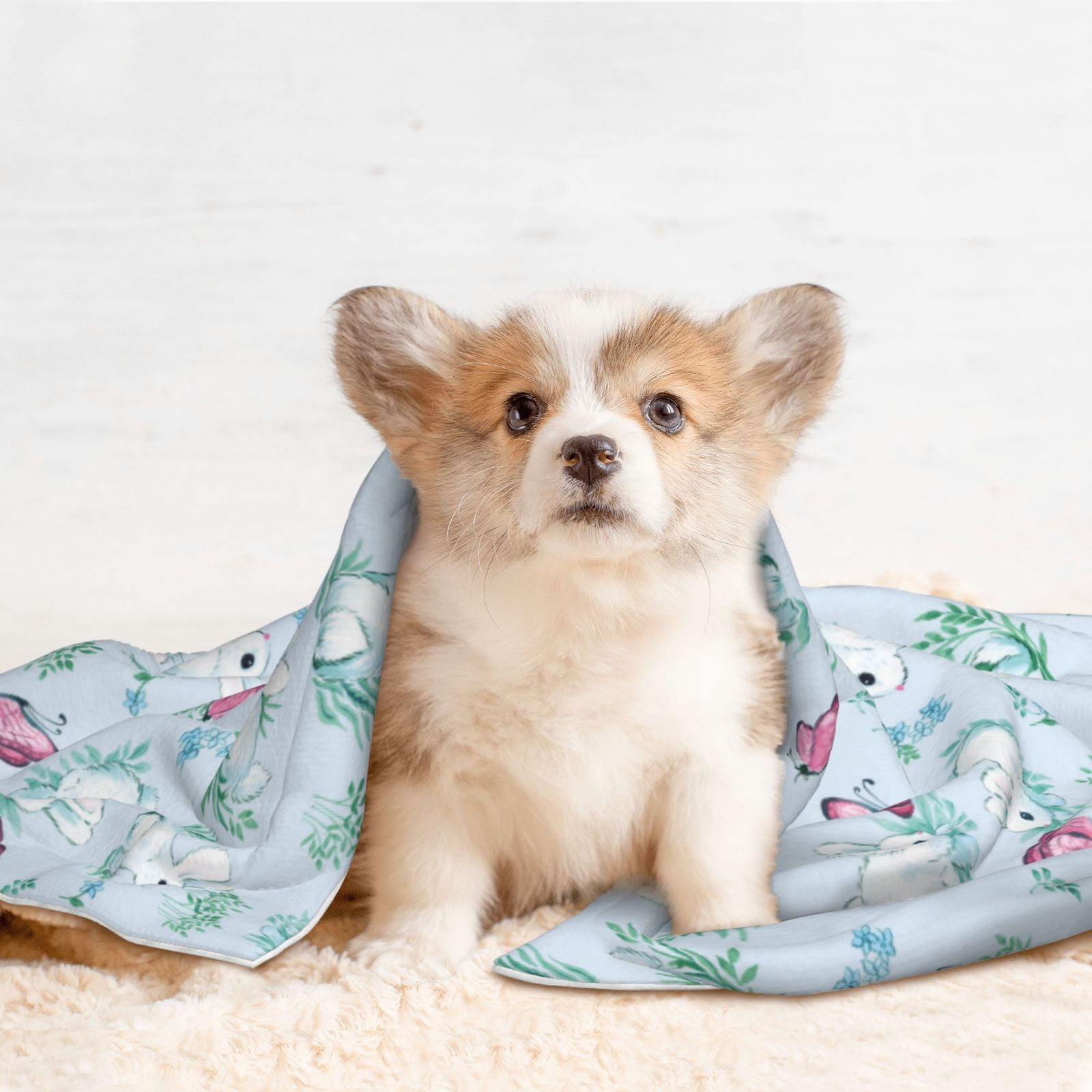 Naloa Rabbit And Butterfly Dog Blanket, 3 Sizes Cat Blanket for Indoor Cats Large Medium Small Dog Gifts-Large