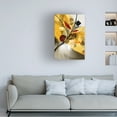 thumbnail image 3 of Helen Abbas 'Seasons VI' Canvas Art, 3 of 3