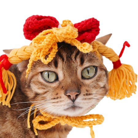 Halloween Chien Laine Chapeau Armure Tresse Bowknot Costume Casquette Cosplay Chapeau Pour Chiens Chats Walmart Canada