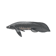 thumbnail image 4 of Realistic Ocean Fish Figurine Set, 8 Pcs Marine Animal Toy Figures, PVC Models, 4 of 7