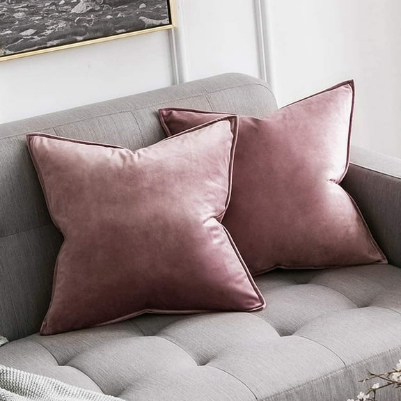 Pack of 2 Decorative Velvet Throw Pillow Cover Soft Jam Pillow Cover Soild Square Cushion Case for Sofa Bedroom Car 16x16 Inch